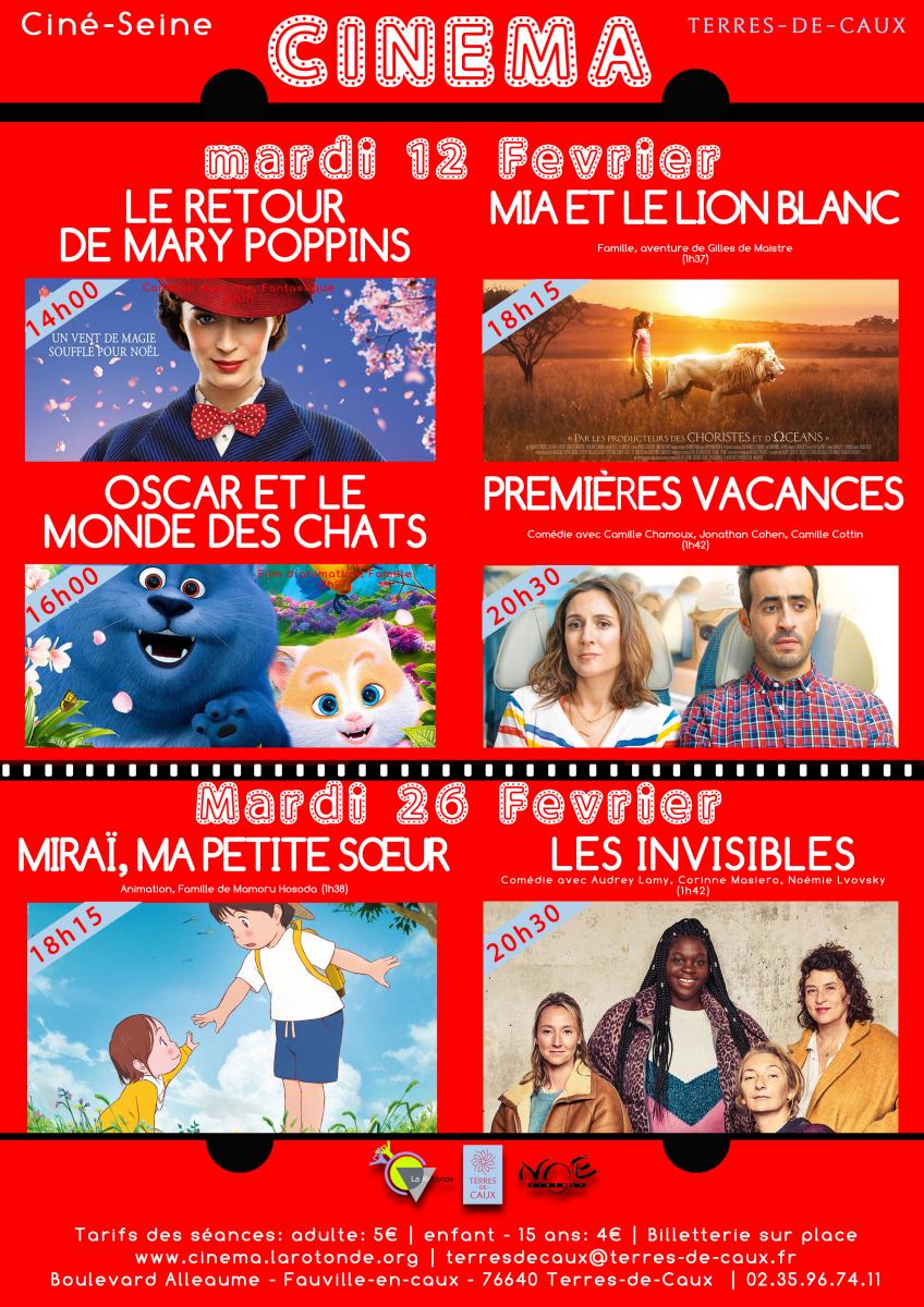 Affiche Cinéma-Modèle-A4-2.jpg