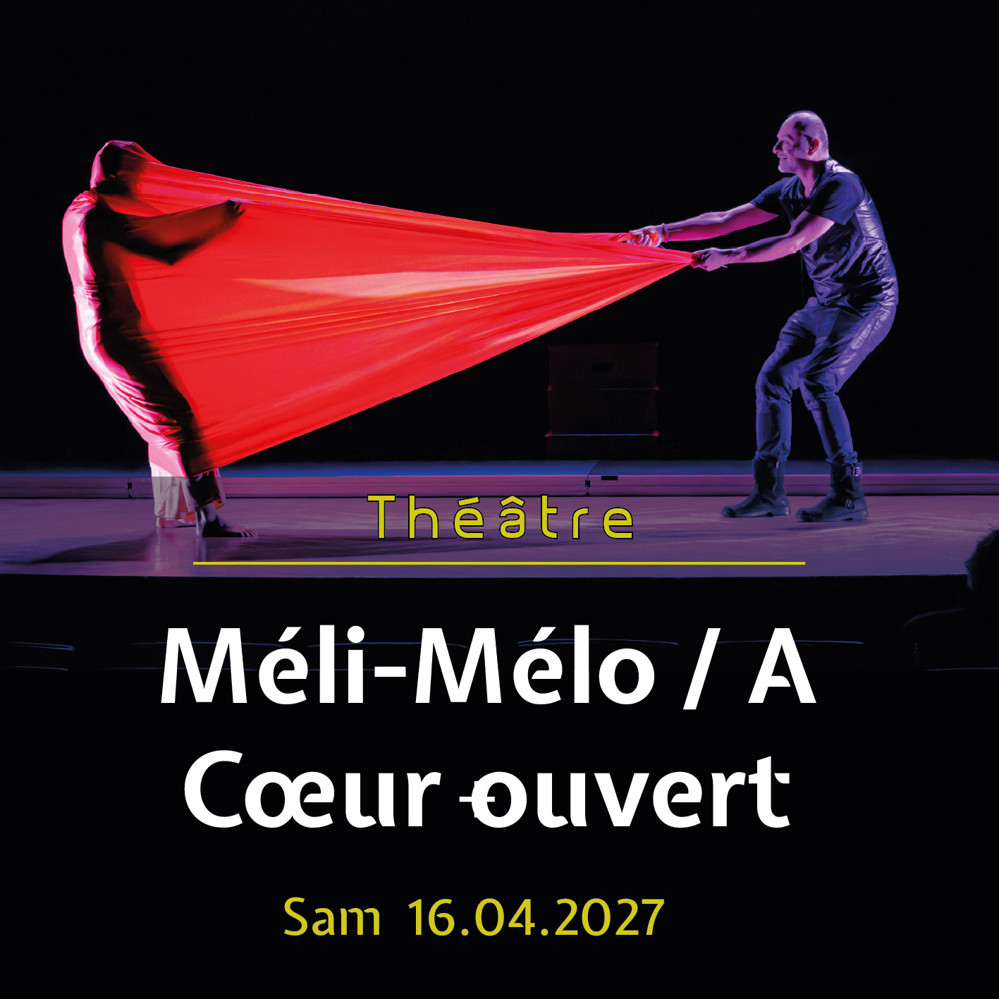 Web carré - spectacle - 013000.jpg